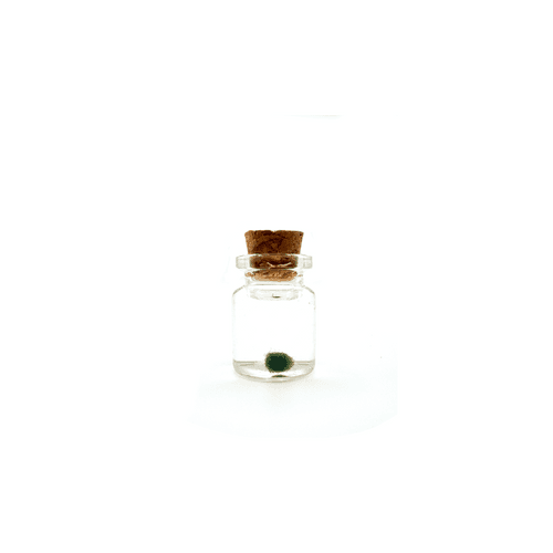 MossMicro2
